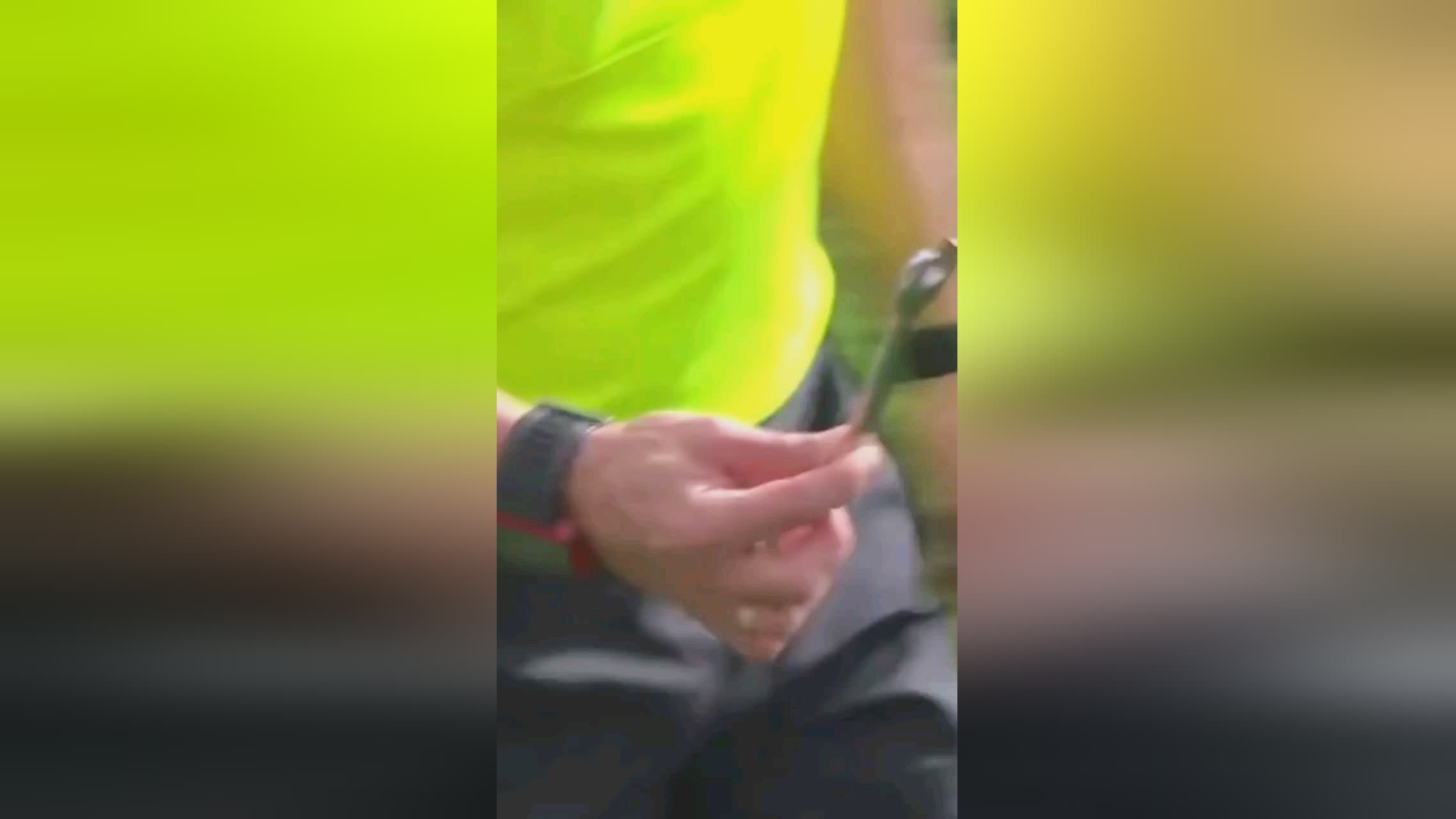 莫充